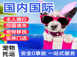 泉州晋江航空运输国际宠物托运 【国